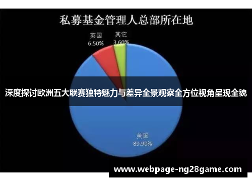 深度探讨欧洲五大联赛独特魅力与差异全景观察全方位视角呈现全貌